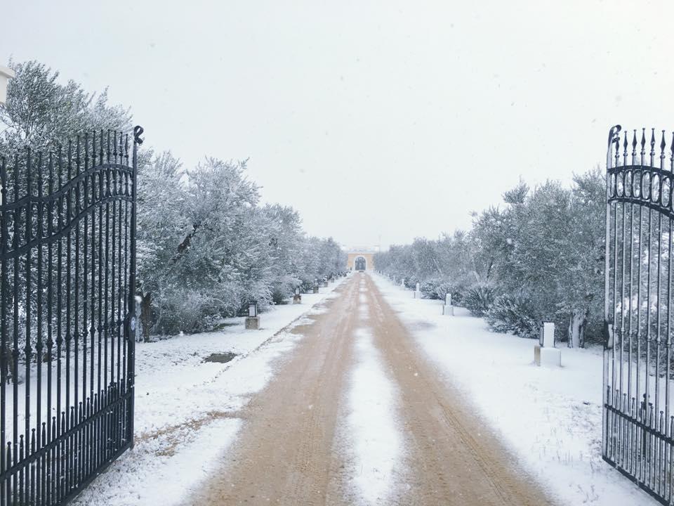 Tenuta Orsanese Marina di Ginosa Екстериор снимка
